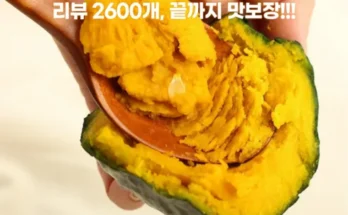 핫딜제품선별 2024 함평 나비애 미니단호박 (7kg 후기별점정리