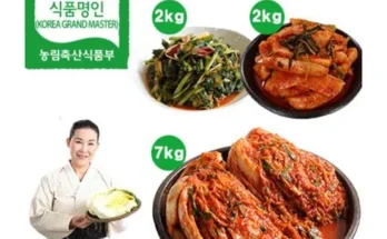 쿠팡랭킹 도미솔김치3종세트11kg  추천상품