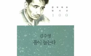 갑성비아이템 베스트8 풀이눕는다 분석안내