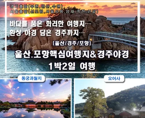 홈쇼핑 최저가 경주야경투어 분석